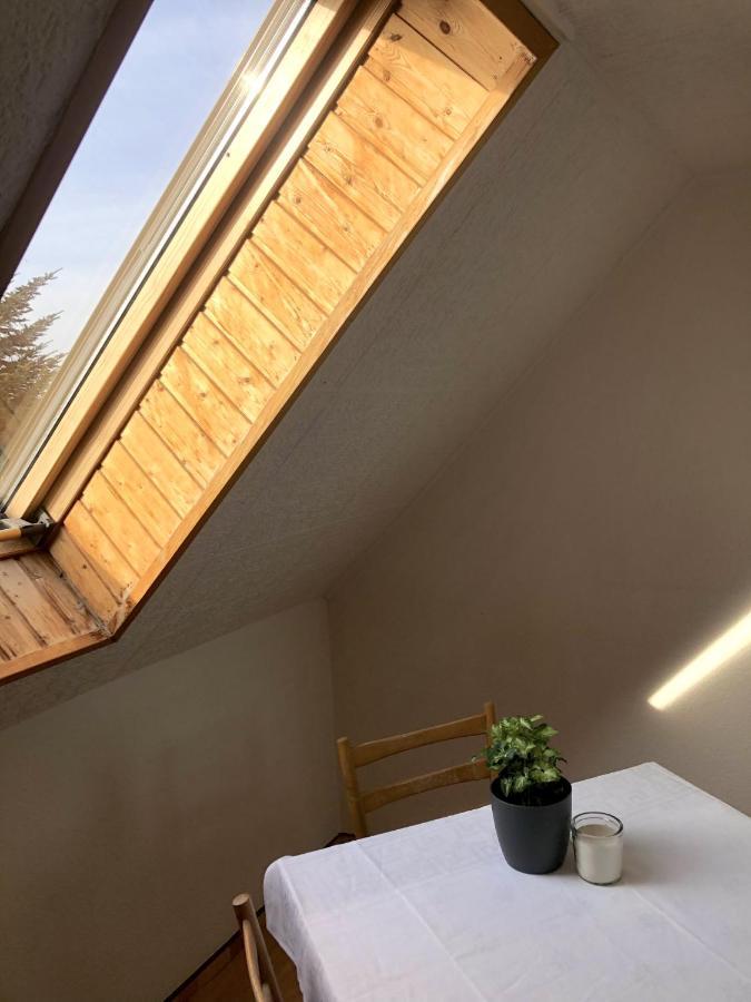 Gasthaus Am Schloss Karlsburg المظهر الخارجي الصورة